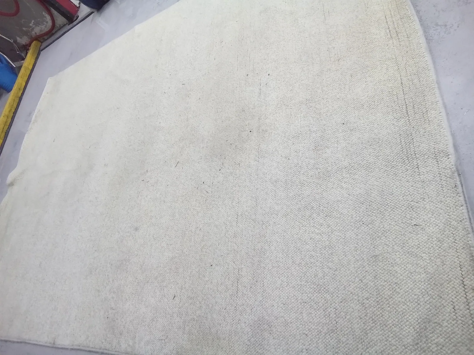 From a job in Boca Raton: a cream rug laid out flat in daylight